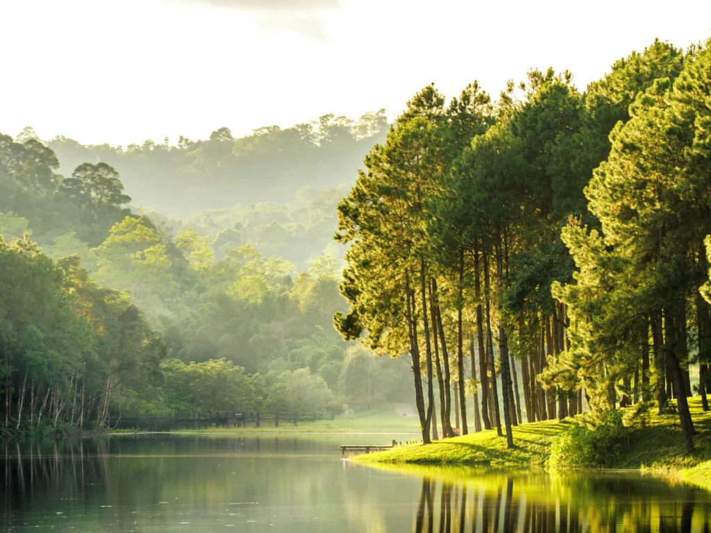 Top 50 Travel Quotes for Social Media Captions | dailybharat